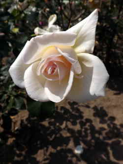 }_@j[@Xy[