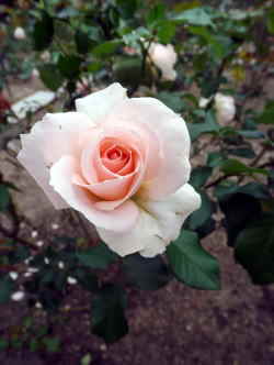 n@VgEX