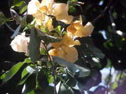 u[QrA